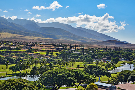 Mountain View from Whaler 1063